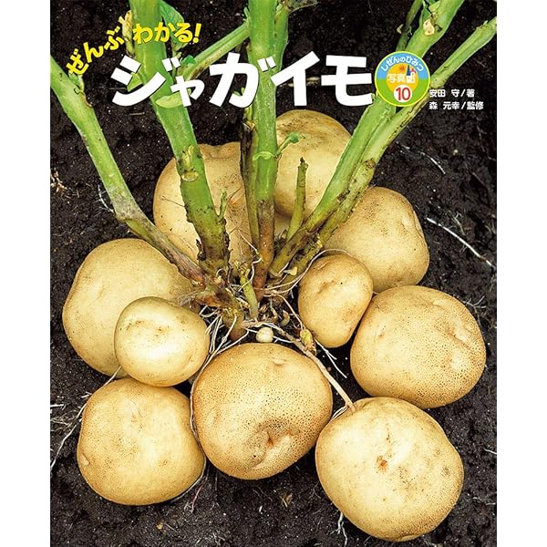 ジャガイモの大百科 (まるごと探究!世界の作物) | 森 元幸 |本